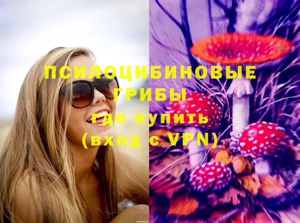 кокс Арсеньев