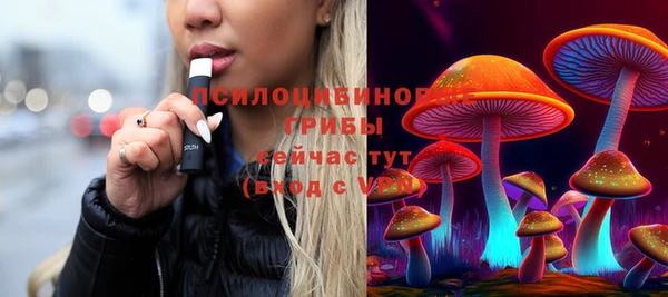 дмт Армянск