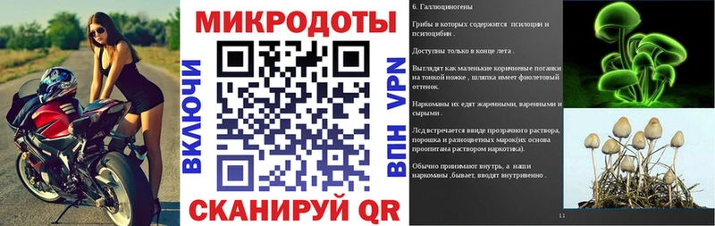 Псилоцибиновые грибы мицелий  Валдай 