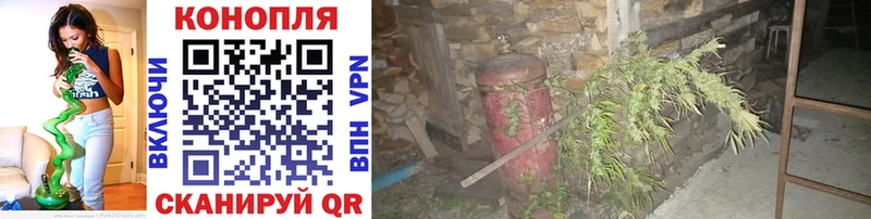 закладка  Валдай  МАРИХУАНА гибрид 